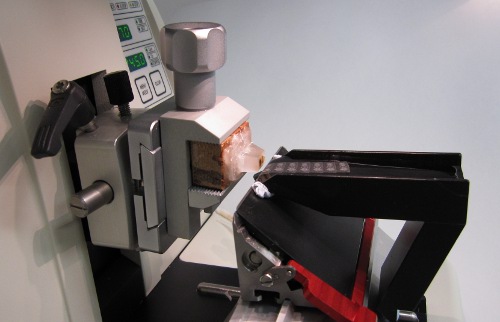 microtome sectioning