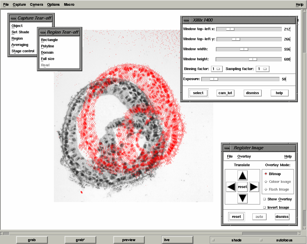 xmgrab interface